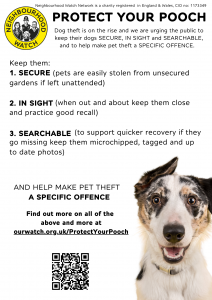 Protect your pooch poster